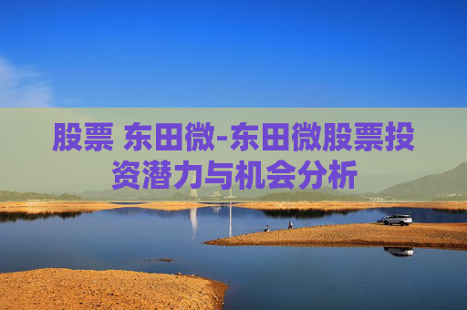 股票 东田微-东田微股票投资潜力与机会分析