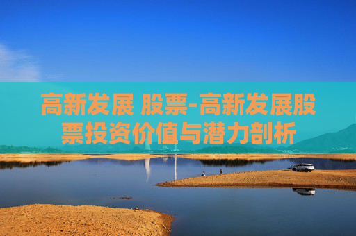 高新发展 股票-高新发展股票投资价值与潜力剖析