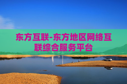 东方互联-东方地区网络互联综合服务平台