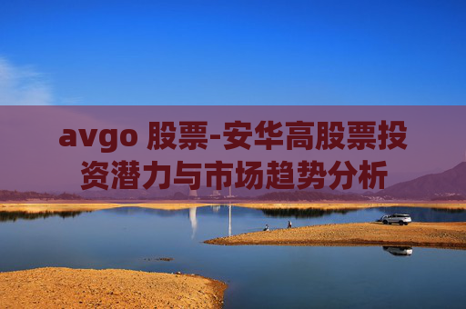 avgo 股票-安华高股票投资潜力与市场趋势分析