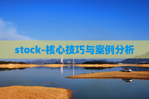 stock-核心技巧与案例分析