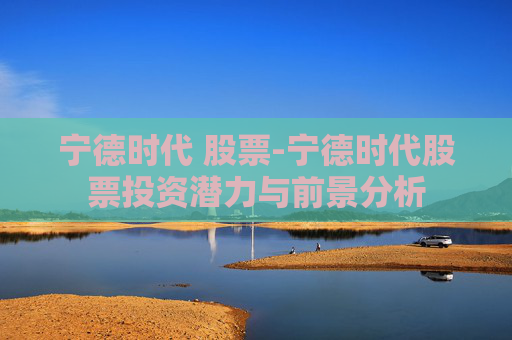 宁德时代 股票-宁德时代股票投资潜力与前景分析