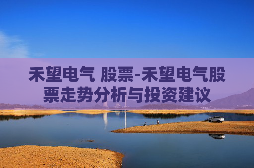 禾望电气 股票-禾望电气股票走势分析与投资建议