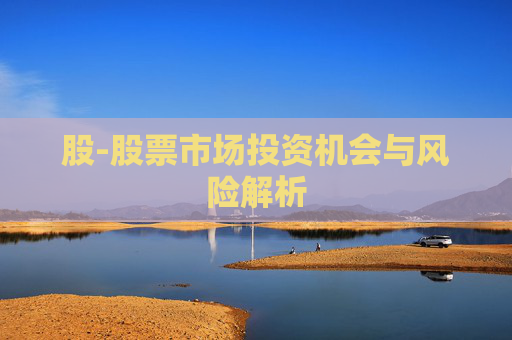 股-股票市场投资机会与风险解析 股-股票市场投资机会与风险解析