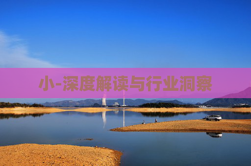 小-深度解读与行业洞察