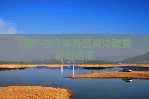 诗歌-古今中外经典诗歌赏析与感悟
