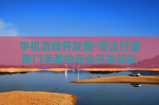 手机游戏开发商-专注打造热门手游的专业开发团队