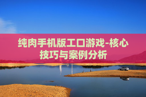 纯肉手机版工口游戏-核心技巧与案例分析