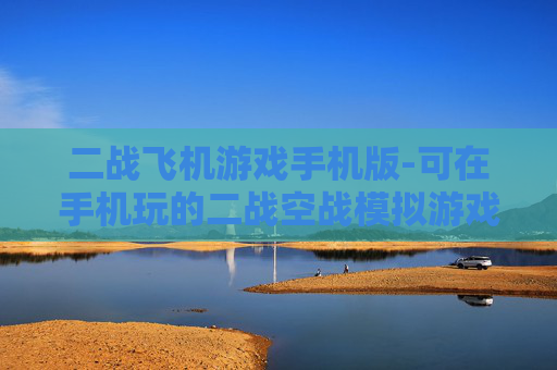 二战飞机游戏手机版-可在手机玩的二战空战模拟游戏
